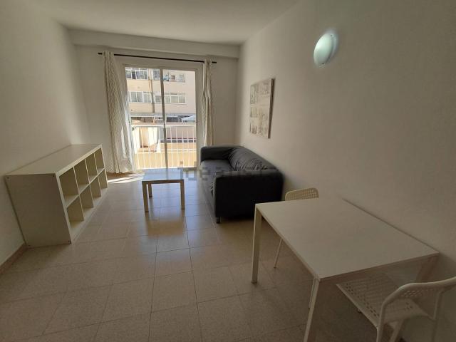 Piso, Foners, Palma de Mallorca