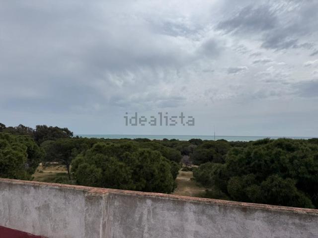 Piso, Guardamar del Segura