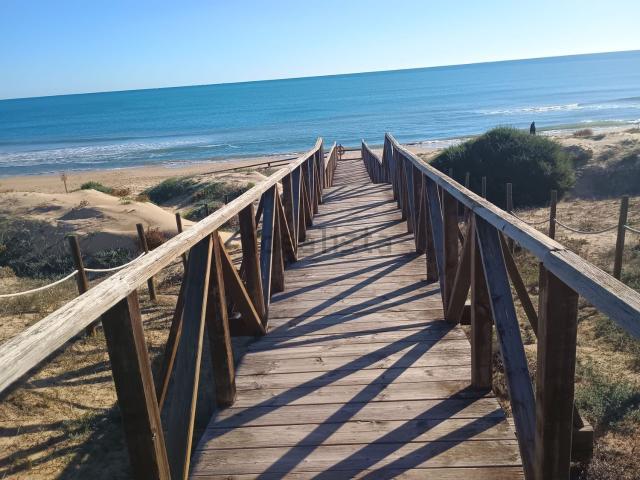 Piso, Guardamar del Segura