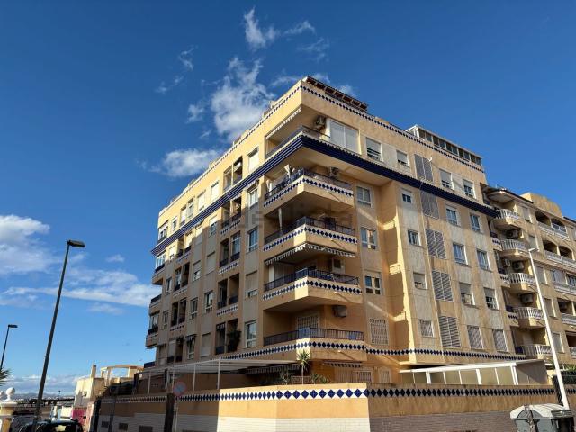 Piso, Guardamar del Segura