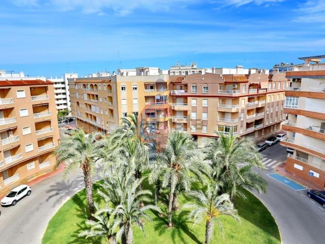 Piso, Guardamar del Segura