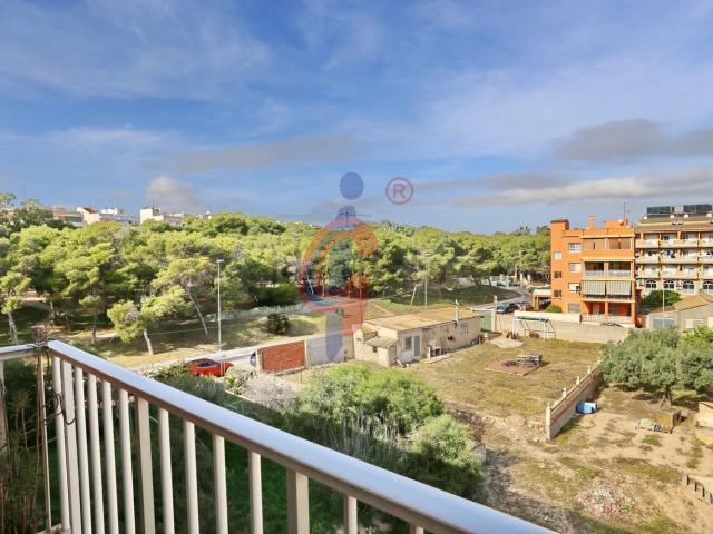 Piso, Guardamar del Segura