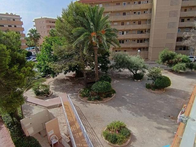 Piso, Guardamar del Segura
