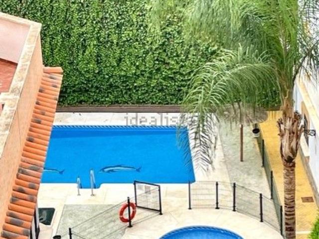 Piso, Guaro