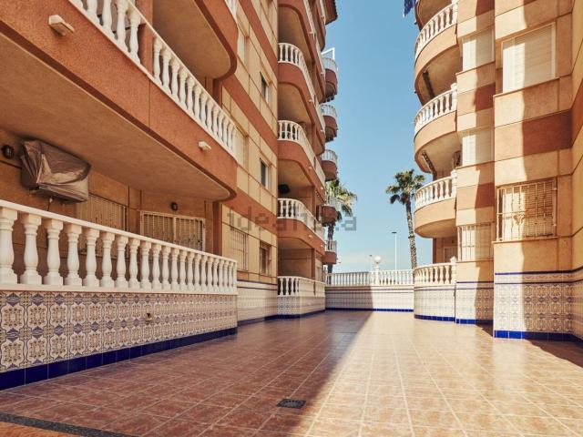 Piso, Gaspar Perrelló, Torrevieja