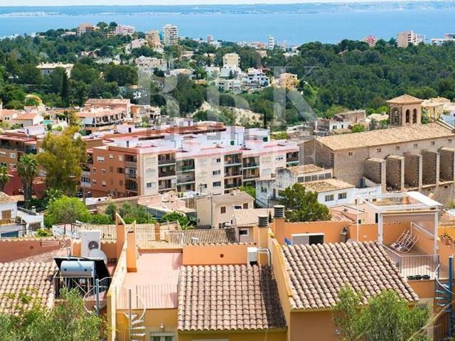 Piso, Genova, Palma de Mallorca