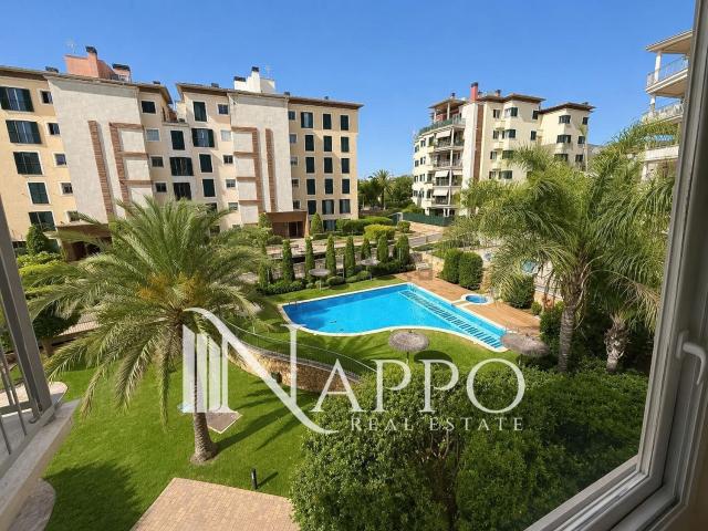 Piso, Genova, Palma de Mallorca