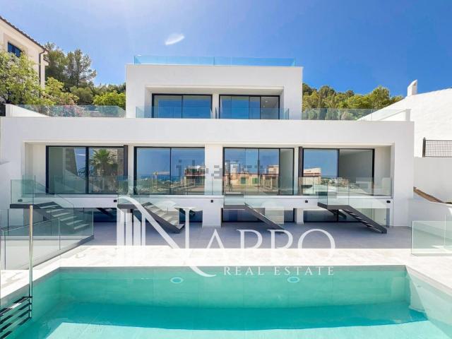 Piso, Genova, Palma de Mallorca