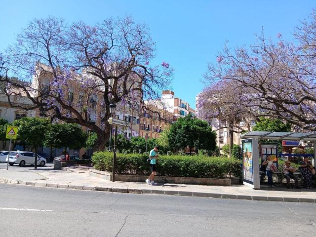 Piso, Gibralfaro, Málaga