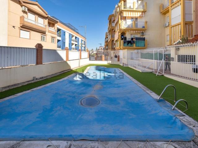 Piso, Gojar