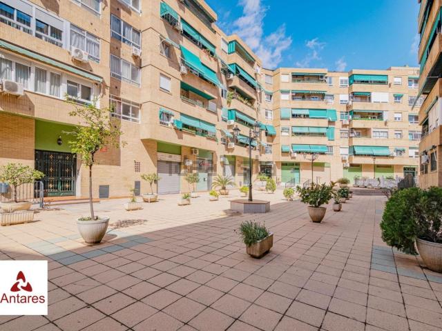 Piso, Granada