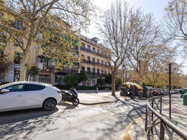 Piso, Granada