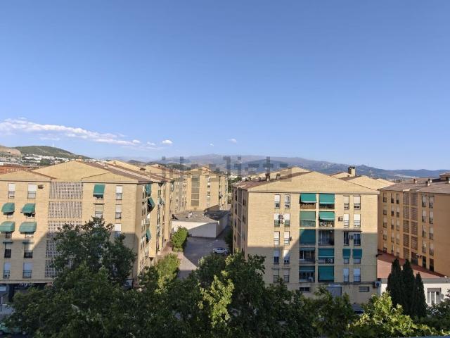 Piso, Granada