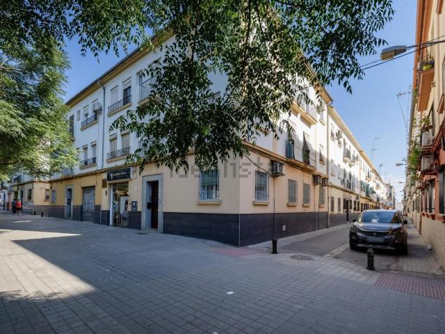 Piso, Granada
