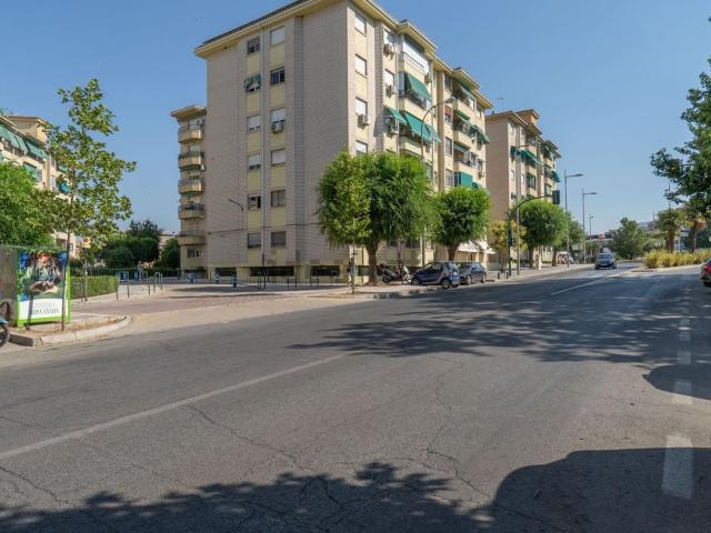 Piso, Granada
