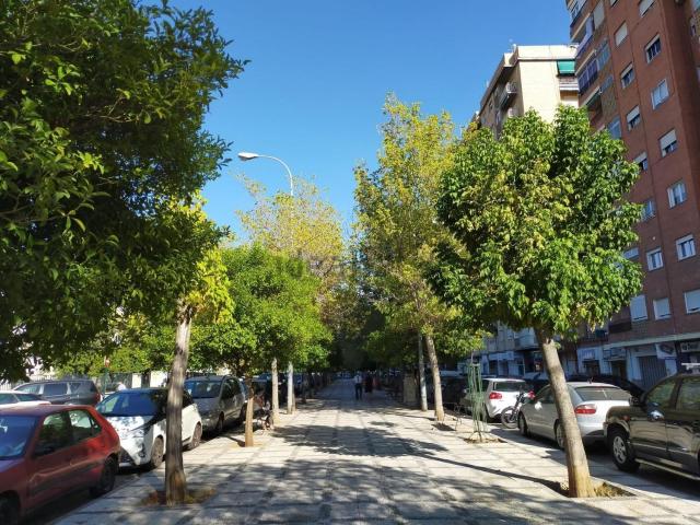 Piso, Granada