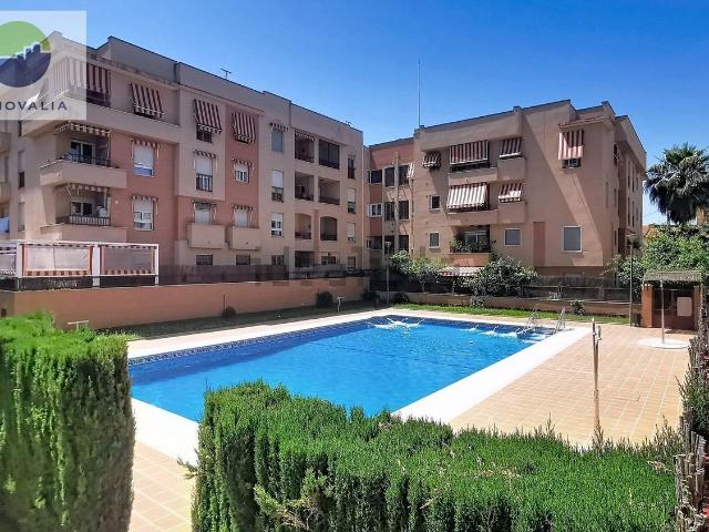 Piso, Granada