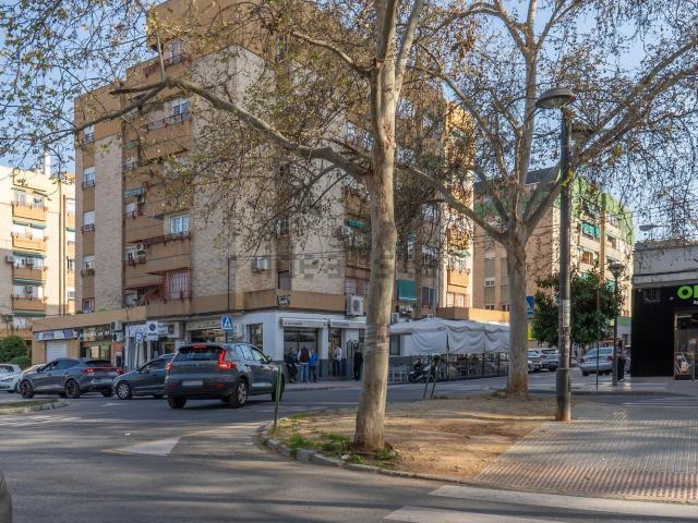 Piso, Granada