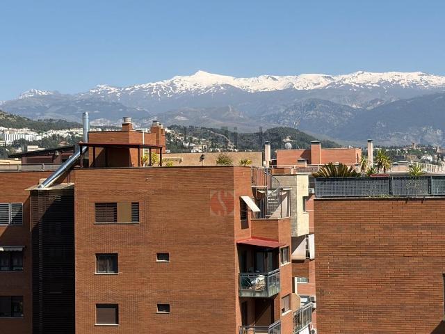 Piso, Granada