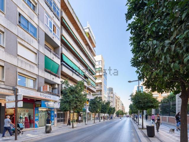 Piso, Granada