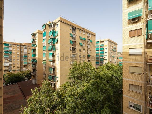 Piso, Granada