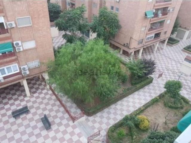Piso, Granada