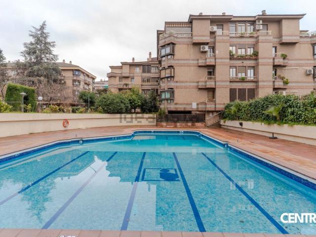 Piso, Granada