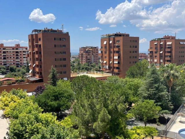 Piso, Granada