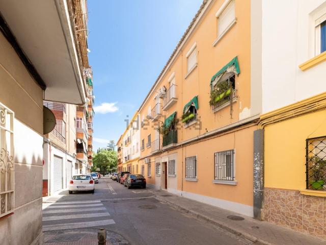 Piso, Granada
