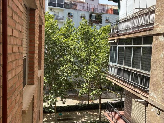 Piso, Granada