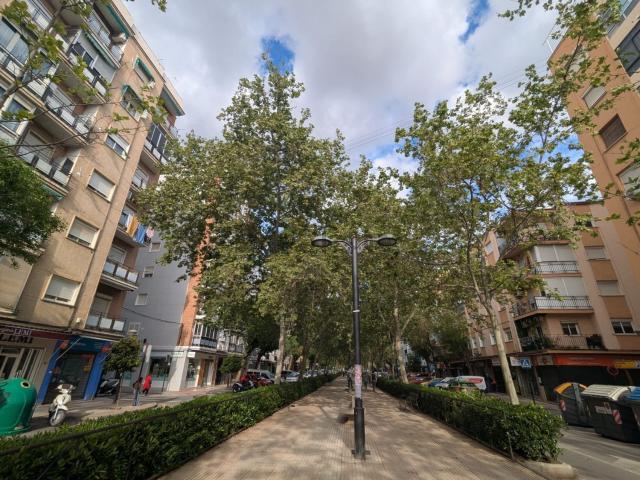 Piso, Granada