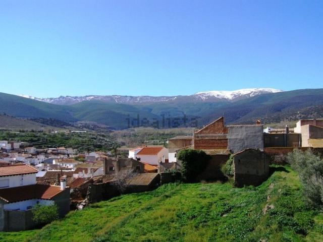 Piso, Huéneja