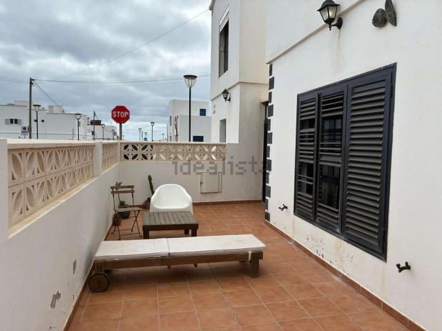 Piso, Haria