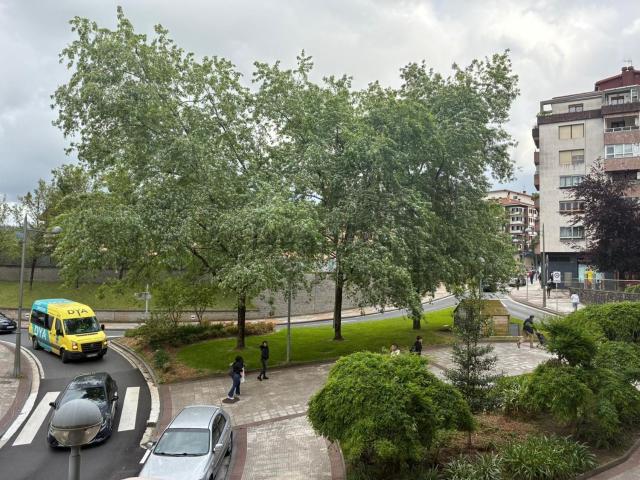 Piso, Hernani