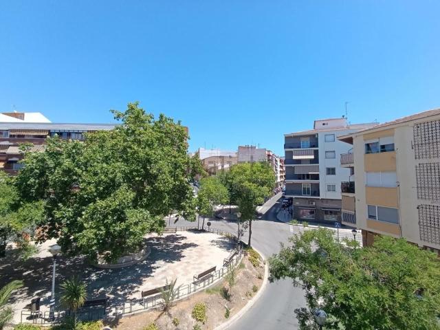 Piso, Ibi