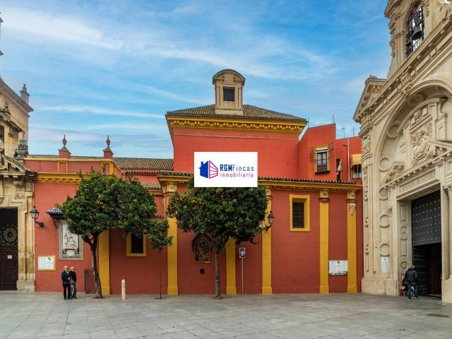 PISO JUNTO A PLAZA DE SAN LORENZO