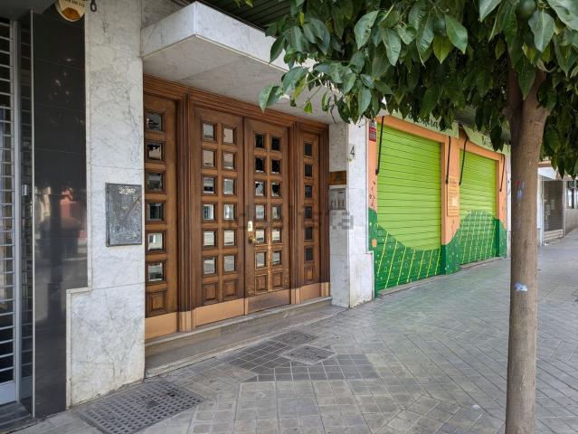 Piso, Jardín Botánico, Granada