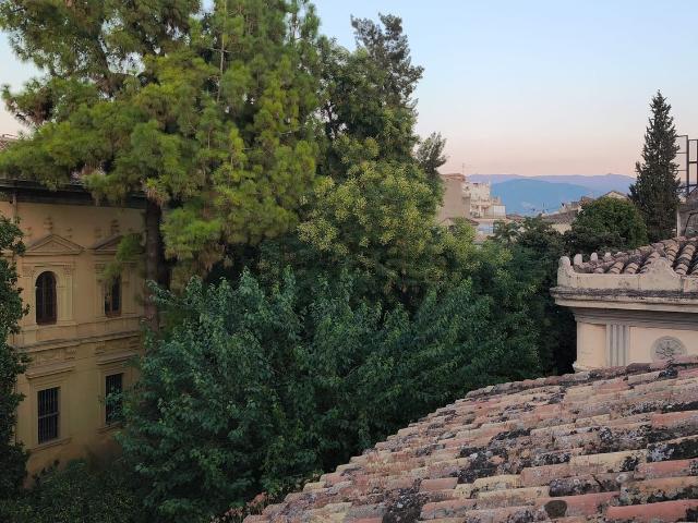 Piso, Jardín Botánico, Granada