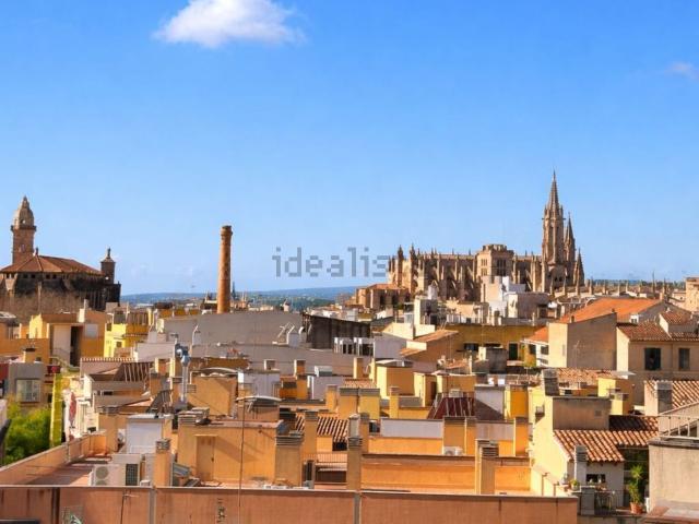 Piso, La Missio Mercat, Palma de Mallorca