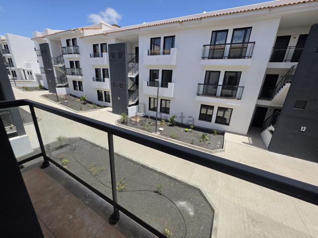 Piso, La Oliva