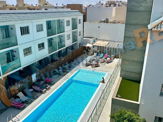 Piso, La Oliva