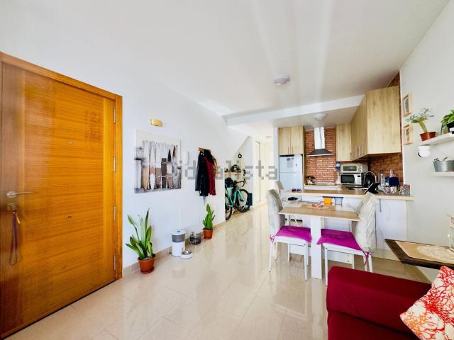 Piso, La Oliva