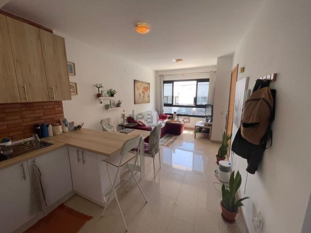 Piso, La Oliva