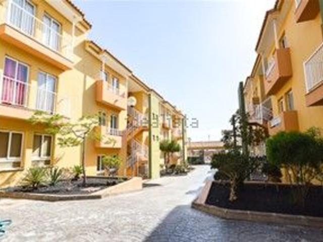 Piso, La Oliva
