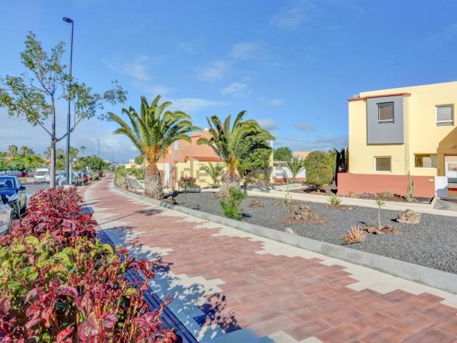 Piso, La Oliva