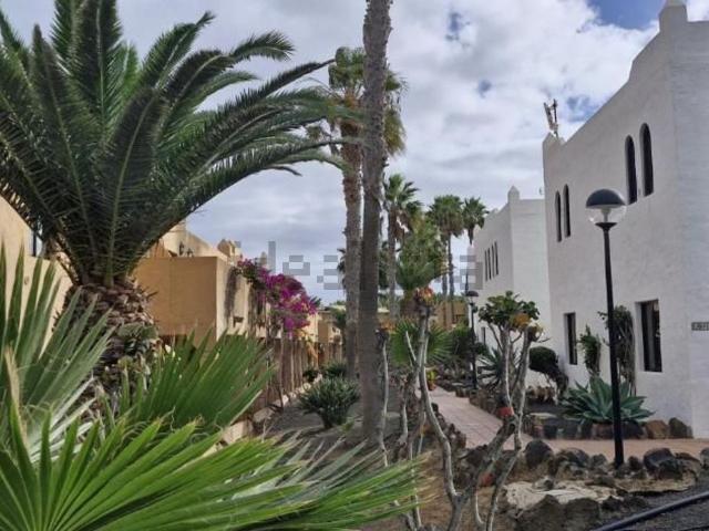 Piso, La Oliva