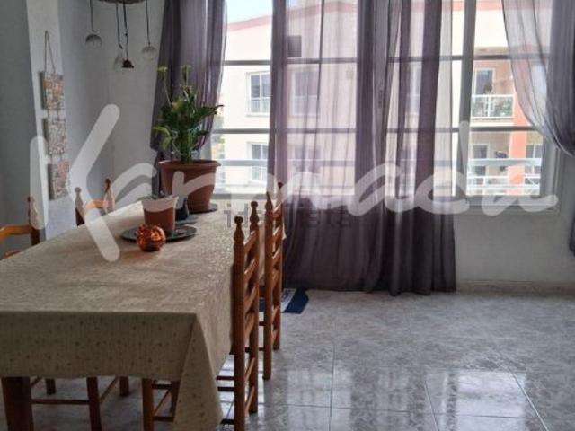 Piso, La Oliva