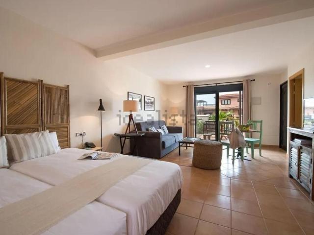 Piso, La Oliva