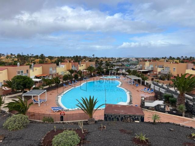 Piso, La Oliva