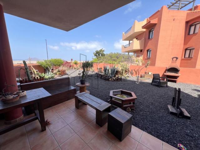 Piso, La Oliva